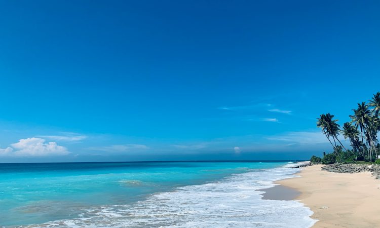 bhanuka-gamage-tilu7pgvRN8-unsplash