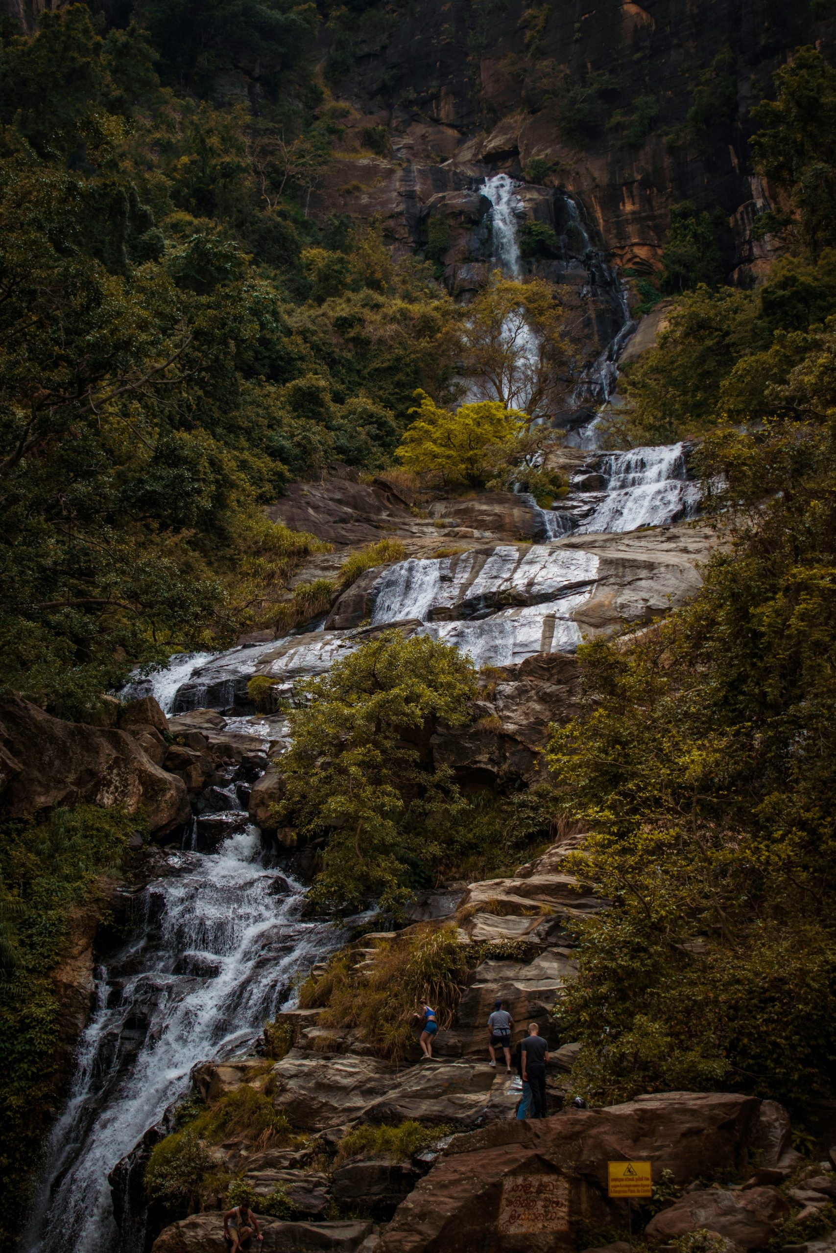 buddhi-jayasundara-jctETpiXEfM-unsplash