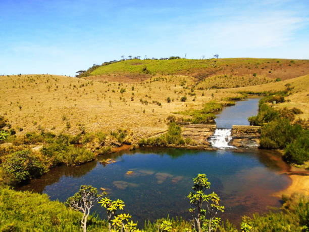 Horton Plains National Park is a protected area in the central highlands of Sri Lanka and is covered by montane grassland and cloud forest. This plateau at an altitude of 2,100–2,300 metres (6,900–7,500 ft) is rich in biodiversity and many species found here are endemic to the region. This region was designated a national park in 1988. It is also a popular tourist destination and is situated 8 kilometres (5.0 mi) from Ohiya, 6 kilometres (3.7 mi) from the world famous Ohiya Gap/Dondra Watch and 32 kilometres (20 mi) from Nuwara Eliya.