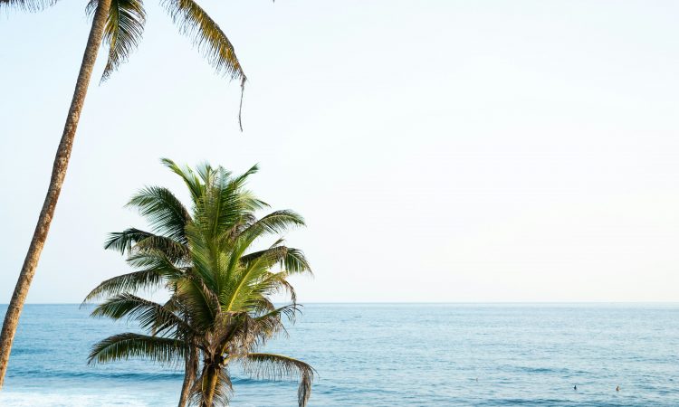 pascale-amez-Nr3Ysq-RWPA-unsplash