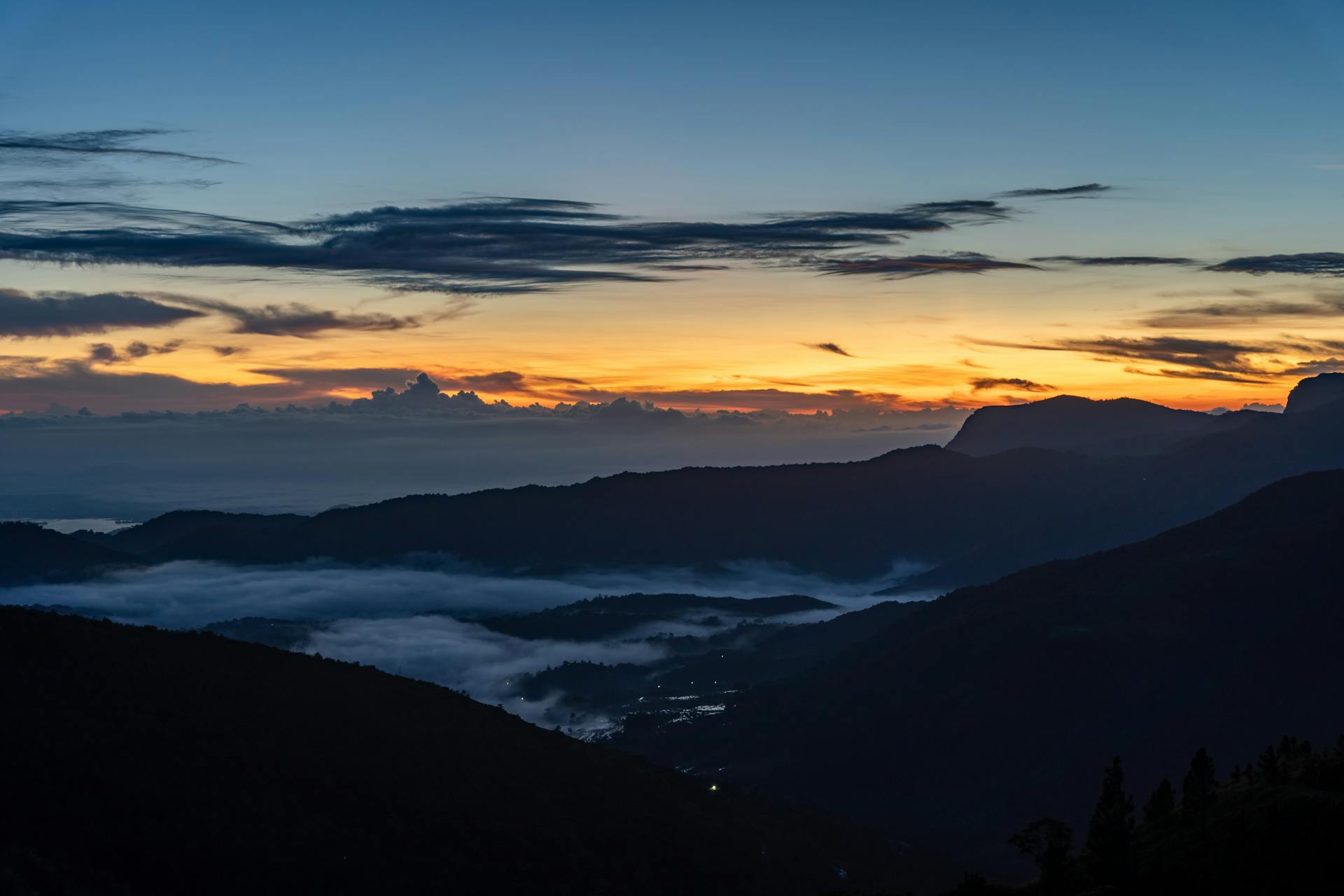 pexels-thilina-alagiyawanna-3266092-31001499