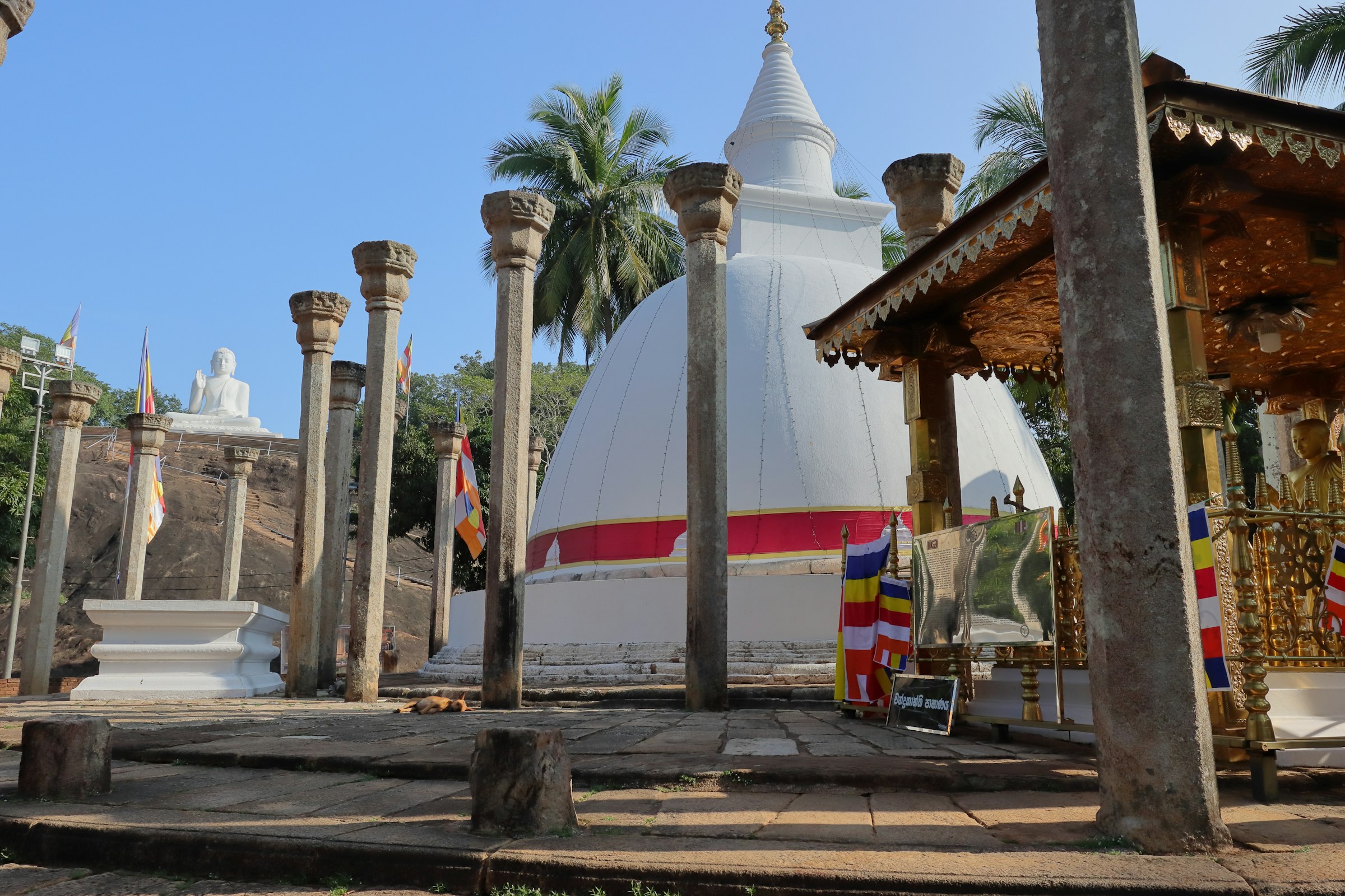 rathna-deepaya-RnBlxKckQIw-unsplash