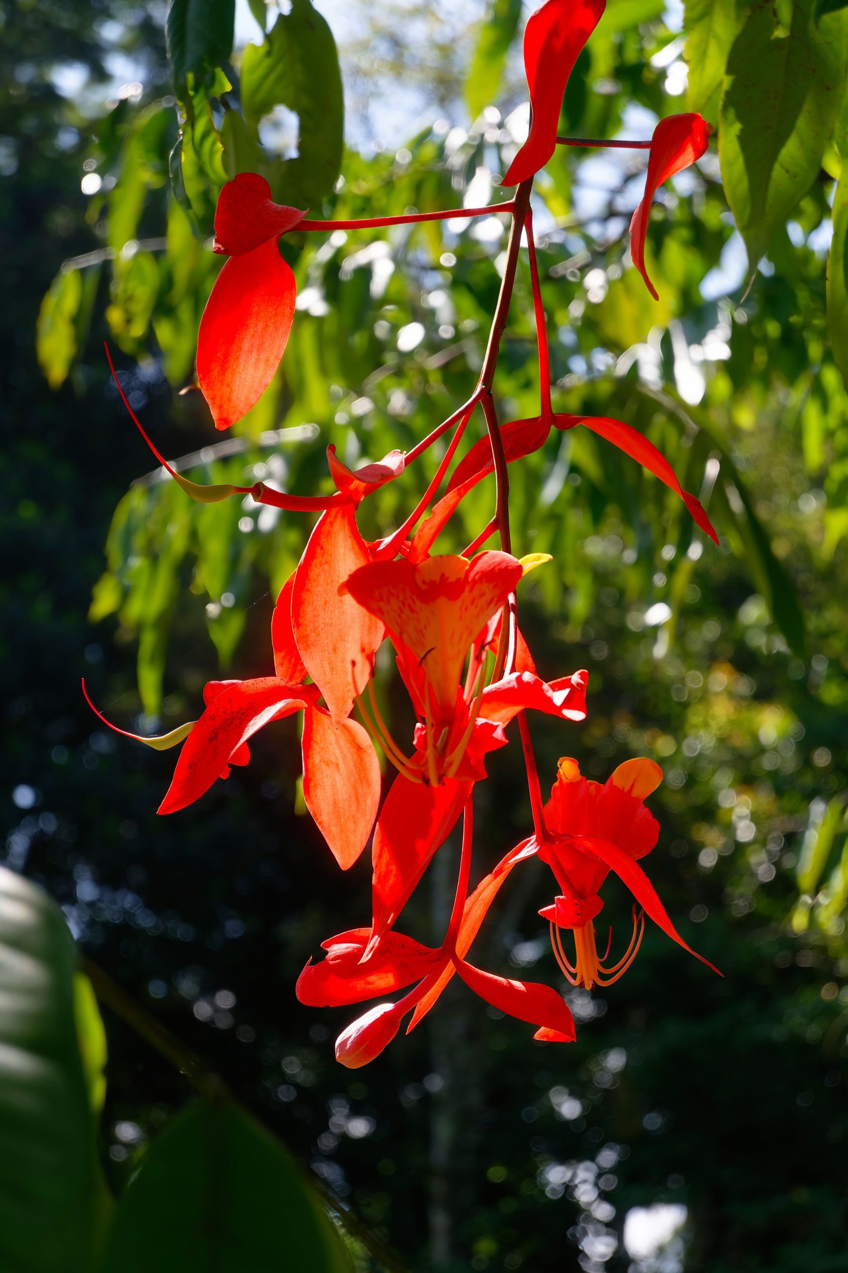 20250303-DSC_1423x (59)