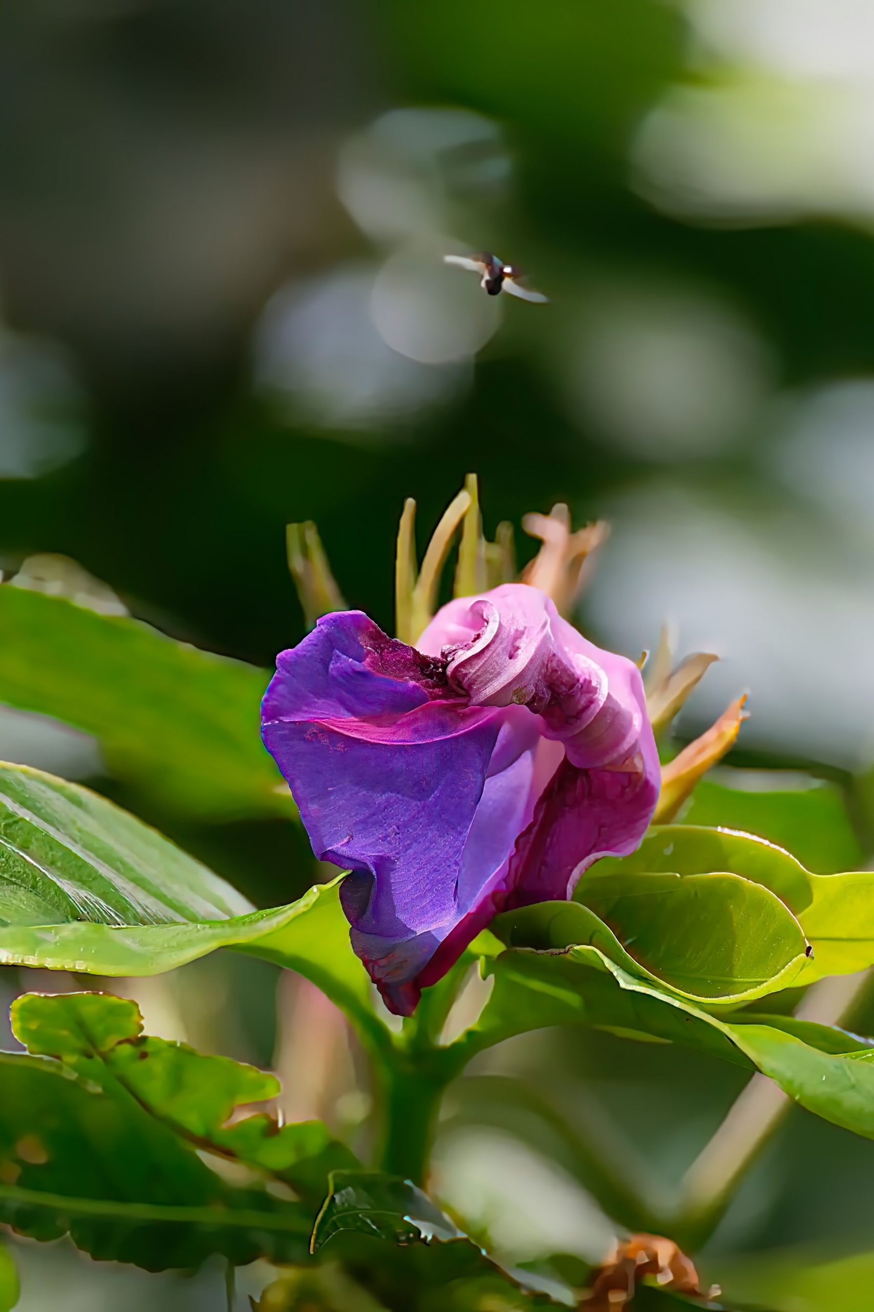 20250303-DSC_1423x (70)